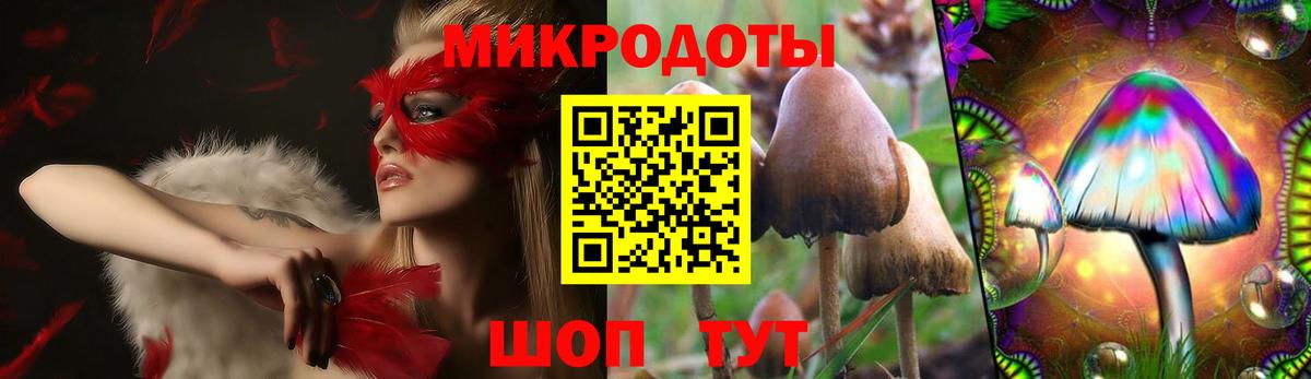 Галлюциногенные грибы прущие грибы Кудымкар